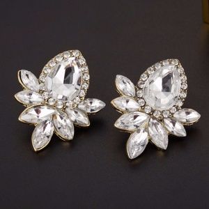 Fan Shaped Clear Rhinestone Earrings